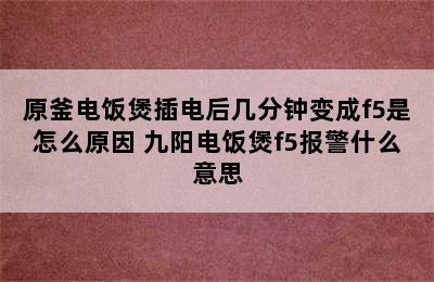 原釜电饭煲插电后几分钟变成f5是怎么原因 九阳电饭煲f5报警什么意思